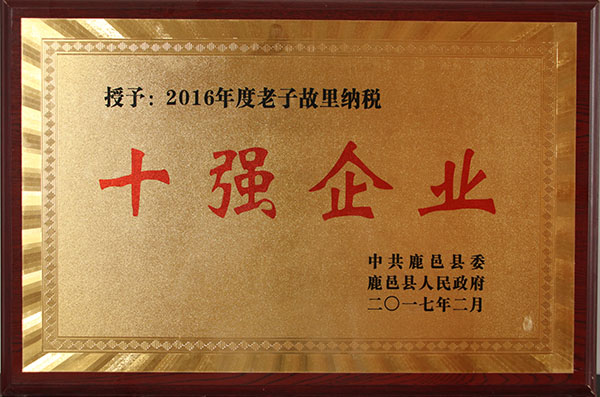 2016年度老子故里纳税十强企业