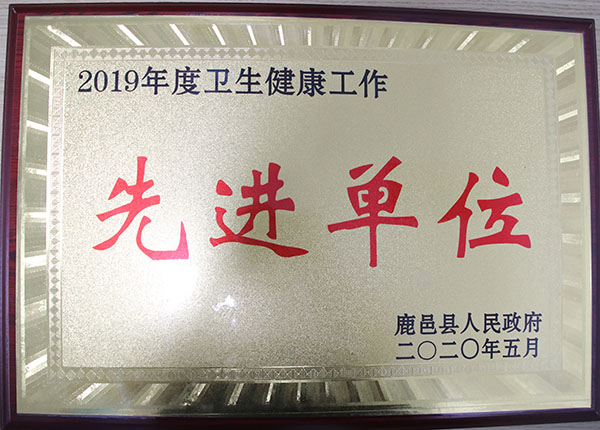 2019年度卫生健康工作先进单位